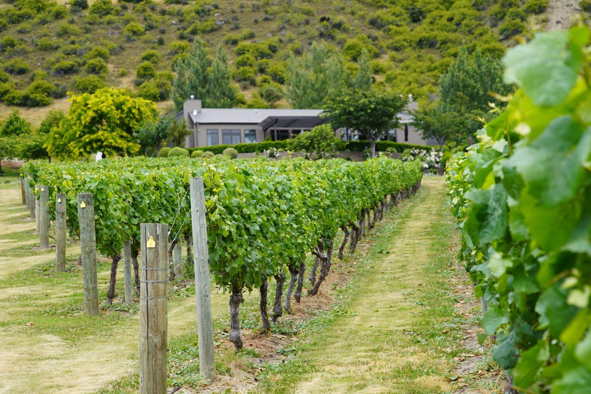 Mt Rosa Lodge Boutique Vineyard Accommodation Ванака Экстерьер фото