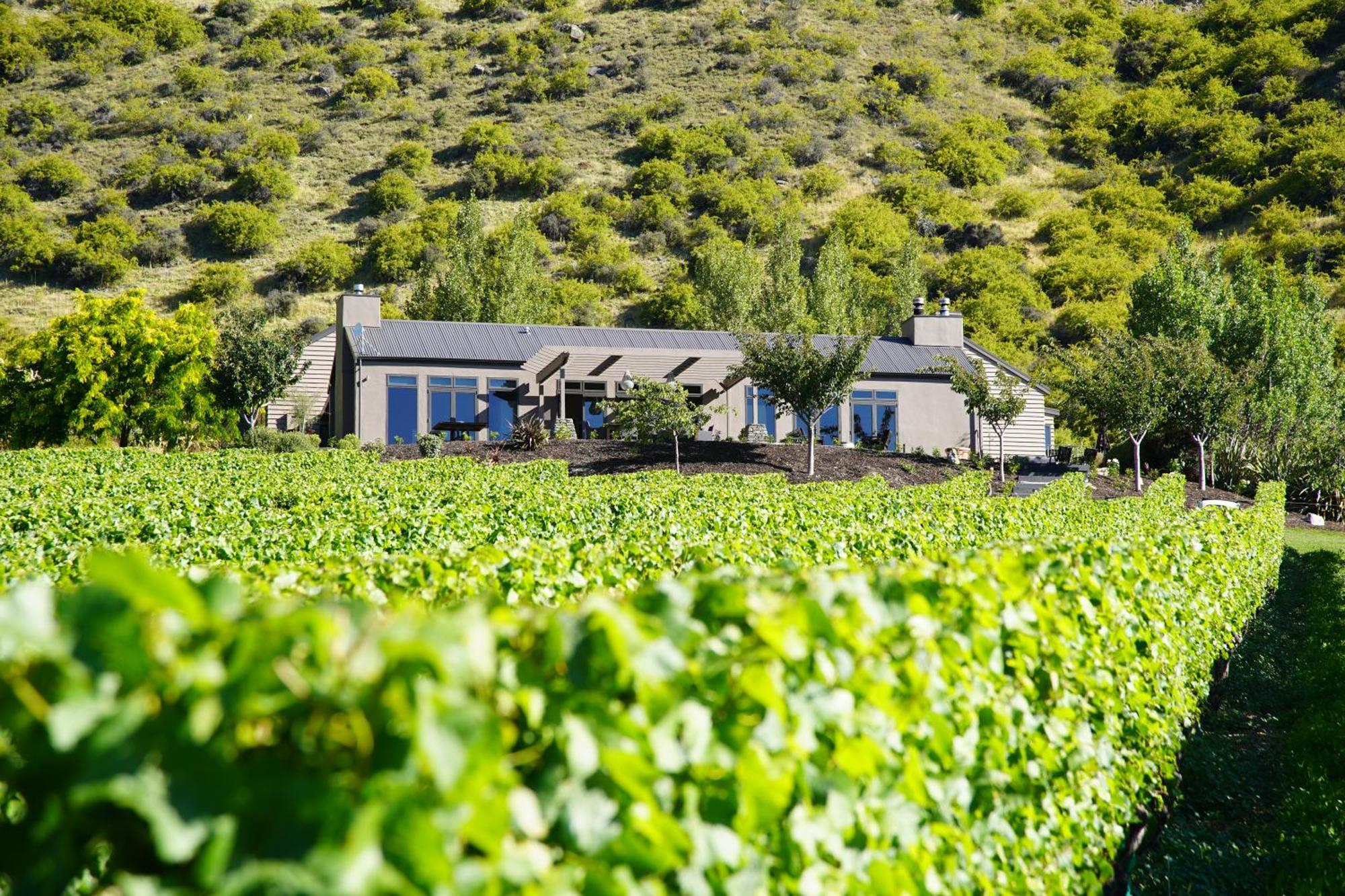 Mt Rosa Lodge Boutique Vineyard Accommodation Ванака Экстерьер фото