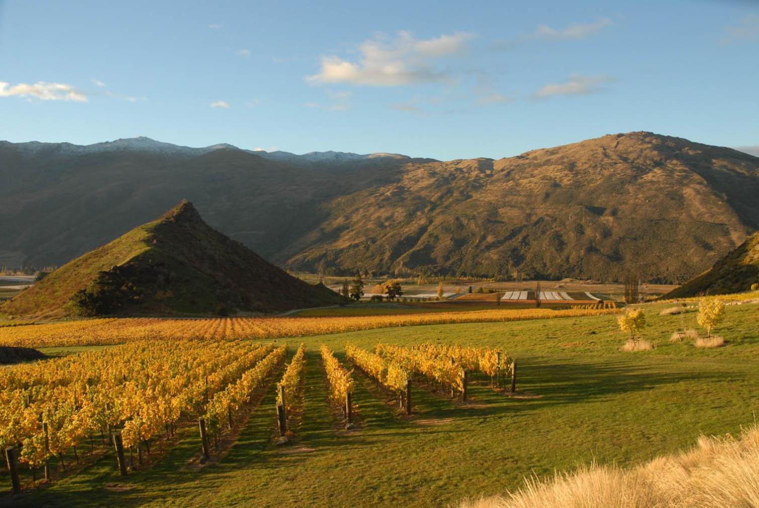 Mt Rosa Lodge Boutique Vineyard Accommodation Ванака Экстерьер фото